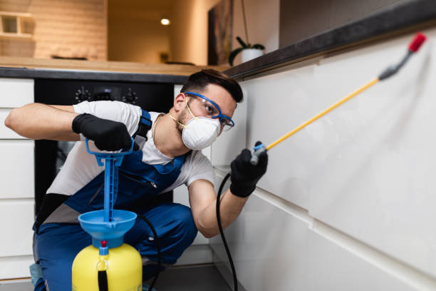 Best Pest Control Near Me in Chicago, IL