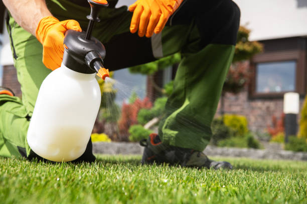 Wildlife Control Services in Chicago, IL